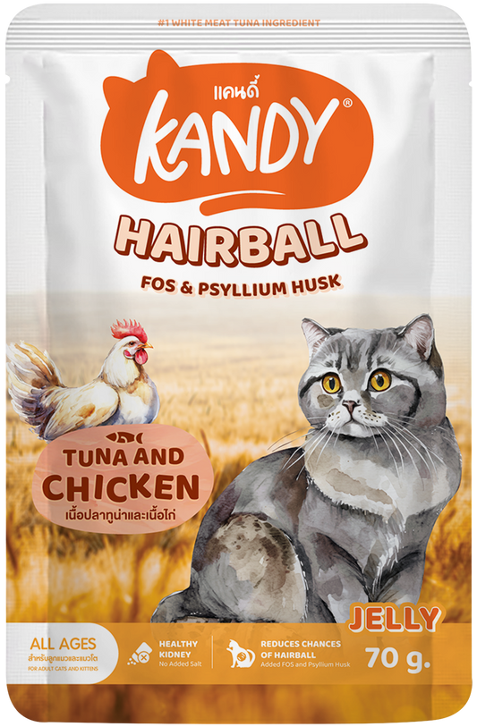 kandy hairball control cat wet food tuna chicken 70gm | hairball care wet cat food in jelly | premium cat wet food UAE free delivery