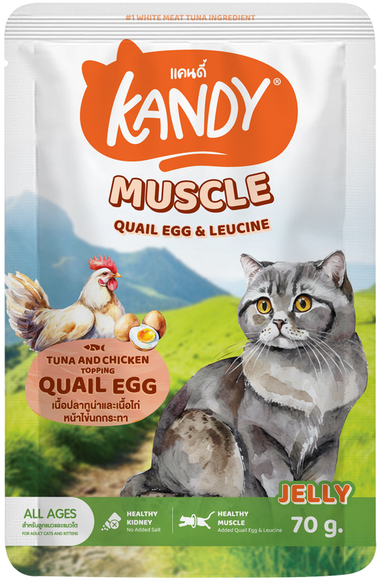 Kandy Muscle Formula Cat wet Food Tuna Chicken 70gm | High Protein Cat Wet Food In Jelly | Premium Cat Wet Food UAE Free Delivery | Hunger Fixer Cat Food UAE