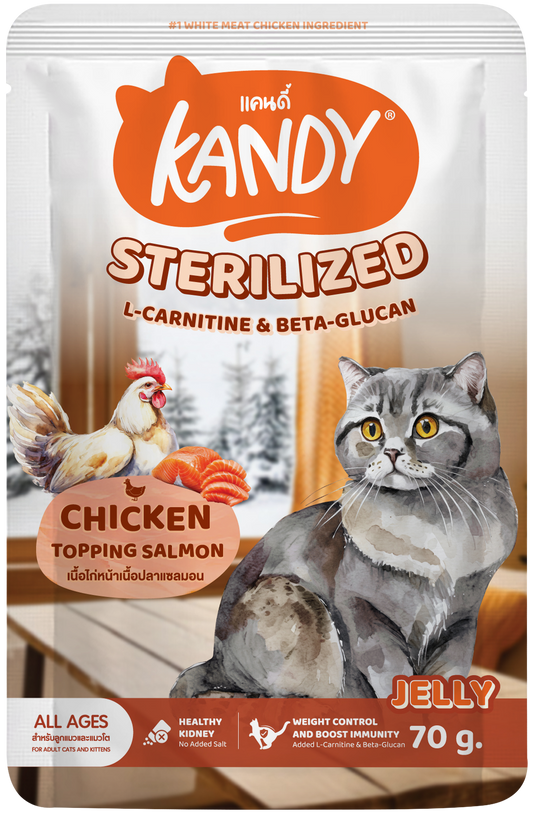 kandy sterilized cat wet food chicken salmon 70gm | sterilized cat food in jelly uae | Premium cat wet food uae free delivery