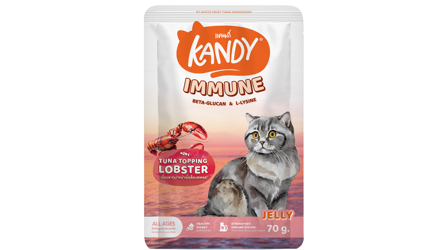 kandy immune formula cat wet food tuna lobster 70g | Premium Wet Cat Food in Jelly | Cat Wet food UAE free Delivery | Hunger Fixer
