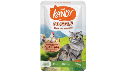 Kandy Muscle Formula Cat wet Food Tuna Chicken 70gm | High Protein Cat Wet Food In Jelly | Premium Cat Wet Food UAE Free Delivery | Hunger Fixer Cat Food UAE