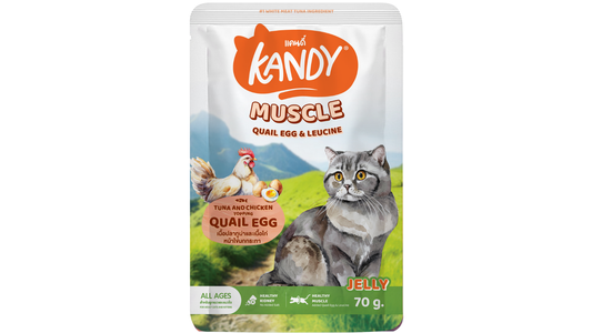 Kandy Muscle Formula Cat wet Food Tuna Chicken 70gm | High Protein Cat Wet Food In Jelly | Premium Cat Wet Food UAE Free Delivery | Hunger Fixer Cat Food UAE