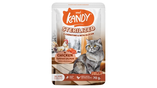 kandy sterilized cat wet food chicken salmon 70gm | sterilized cat food in jelly uae | Premium cat wet food uae free delivery