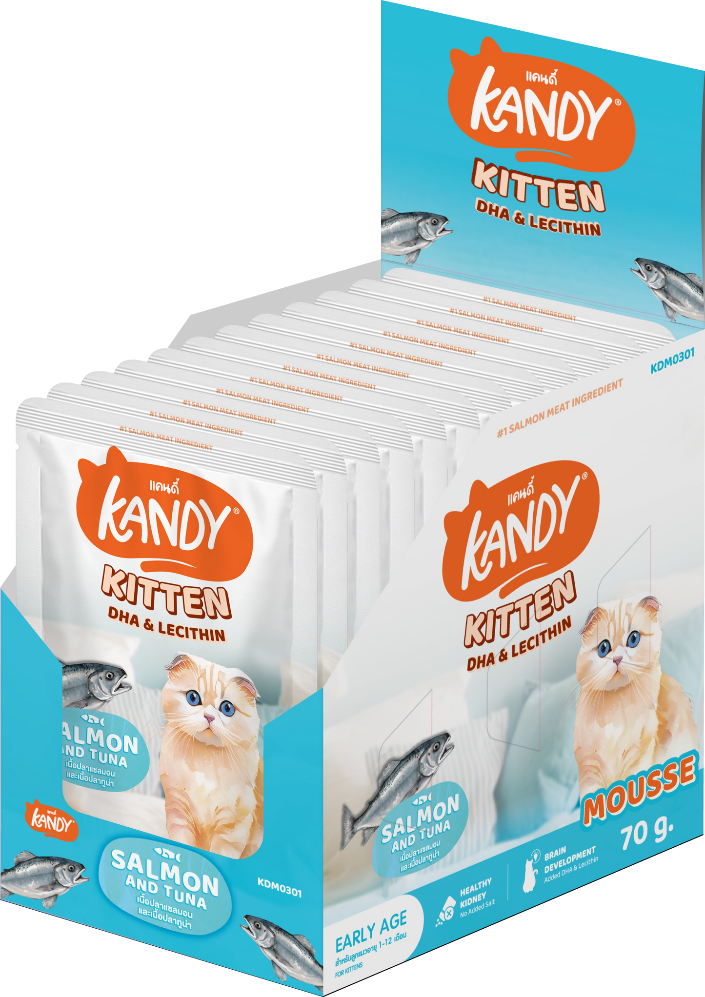 Kandy Indoor Kitten Formula Cat Wet Food 70gm Salmon & Tuna Mousse