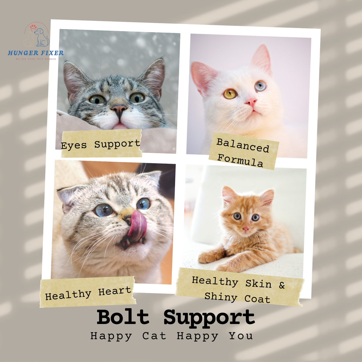 BOLT Salmon In Jelly Wet Cat Food 400 GM