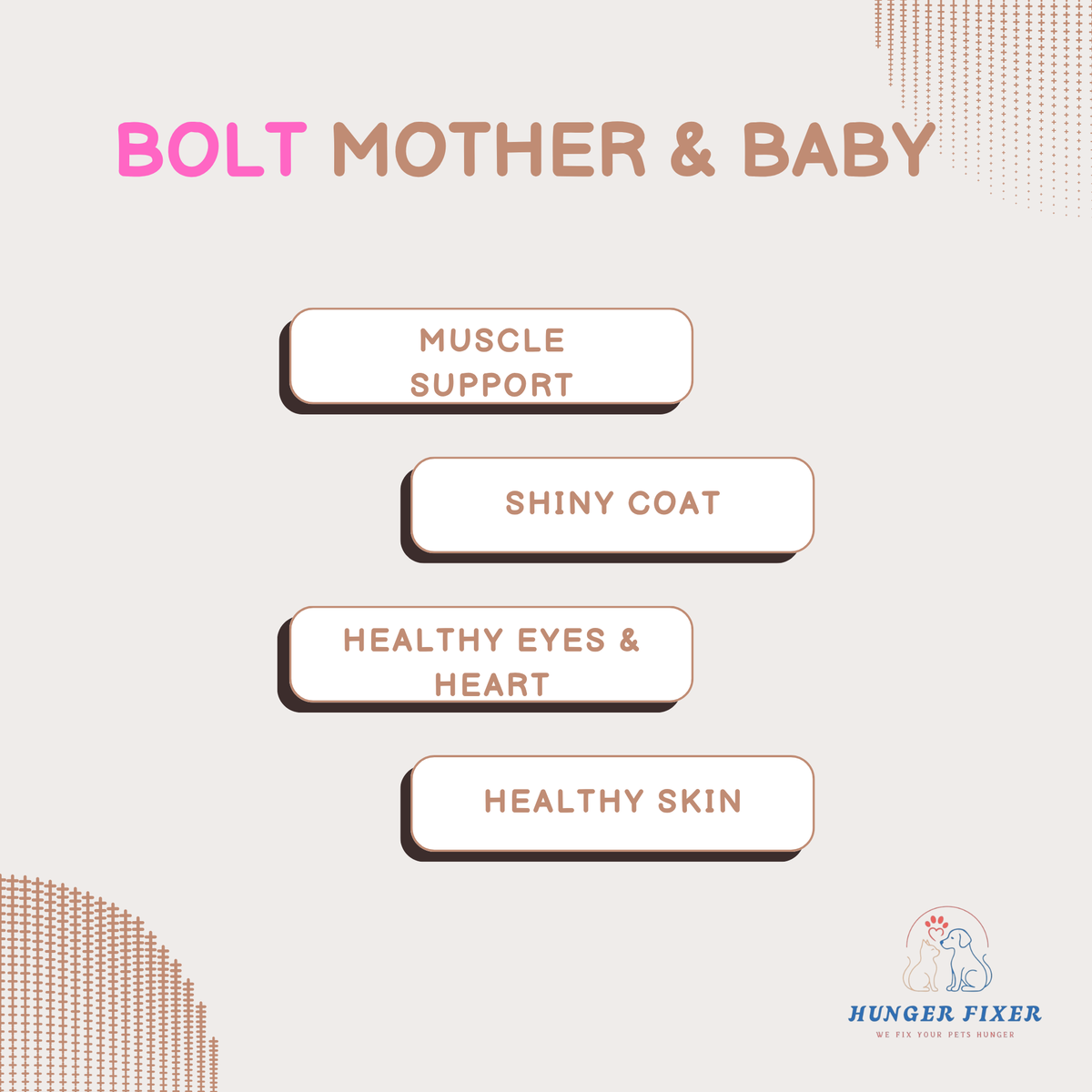 BOLT Mother & Baby Salmon In Jelly Wet Cat Food 80 GM