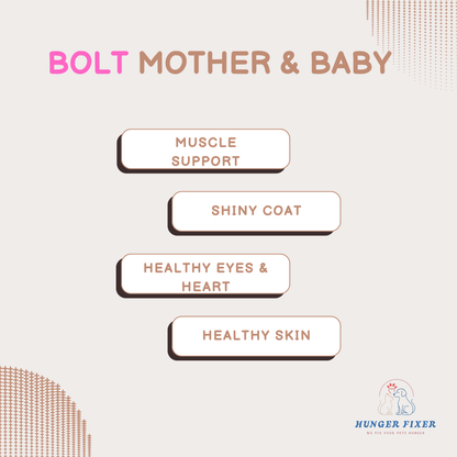 BOLT Mother & Baby Salmon In Jelly Wet Cat Food 80 GM