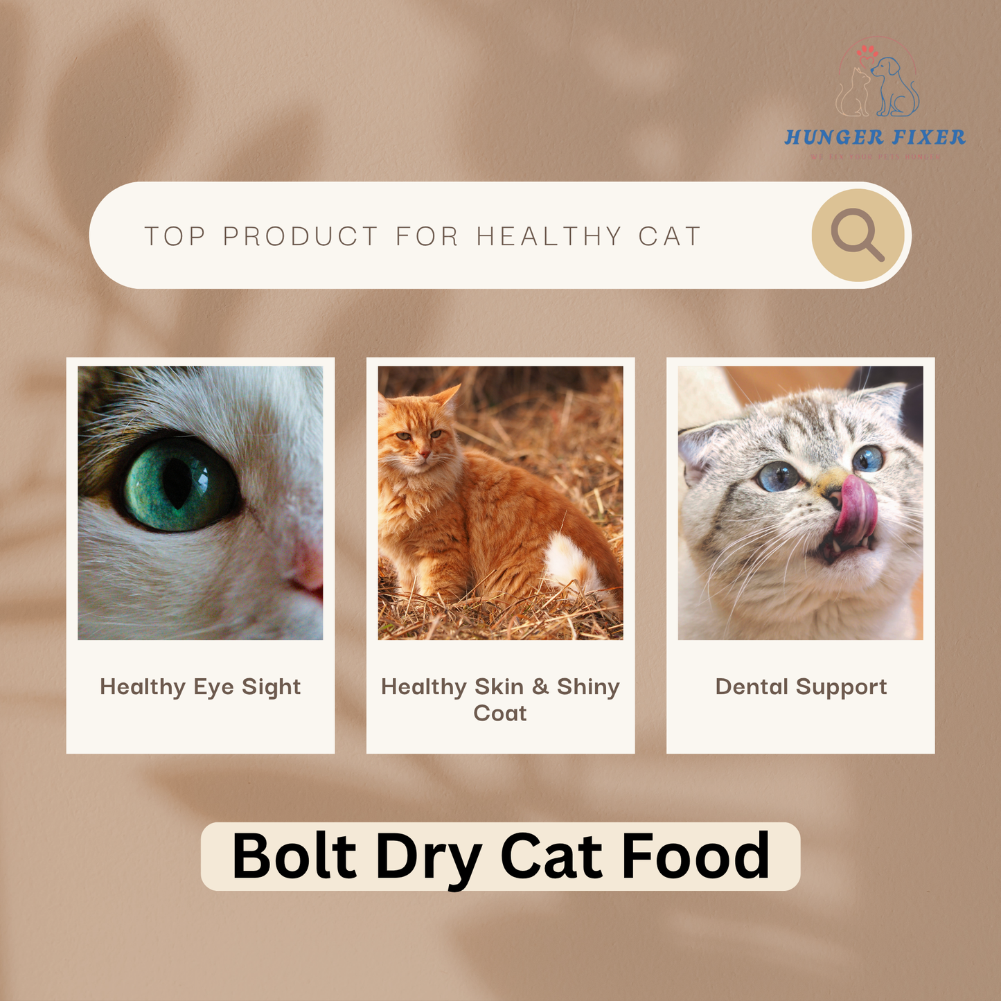 BOLT Dry Cat Food For 1 Year and Above Cats - Salmon Flavor