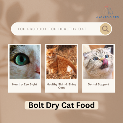 BOLT Dry Cat Food For 1 Year and Above Cats - Salmon Flavor