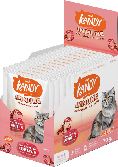 kandy immune formula cat wet food tuna lobster 70g | Premium Wet Cat Food in Jelly | Cat Wet food UAE free Delivery | Hunger Fixer