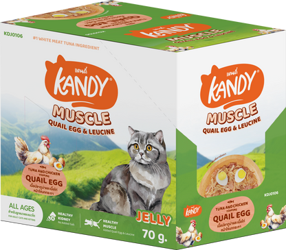Kandy Muscle Formula Cat wet Food Tuna Chicken 70gm | High Protein Cat Wet Food In Jelly | Premium Cat Wet Food UAE Free Delivery | Hunger Fixer Cat Food UAE