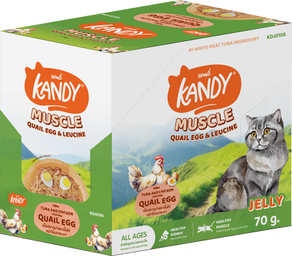 Kandy Muscle Formula Cat Wet Food 70gm Tuna & Chicken In Jelly