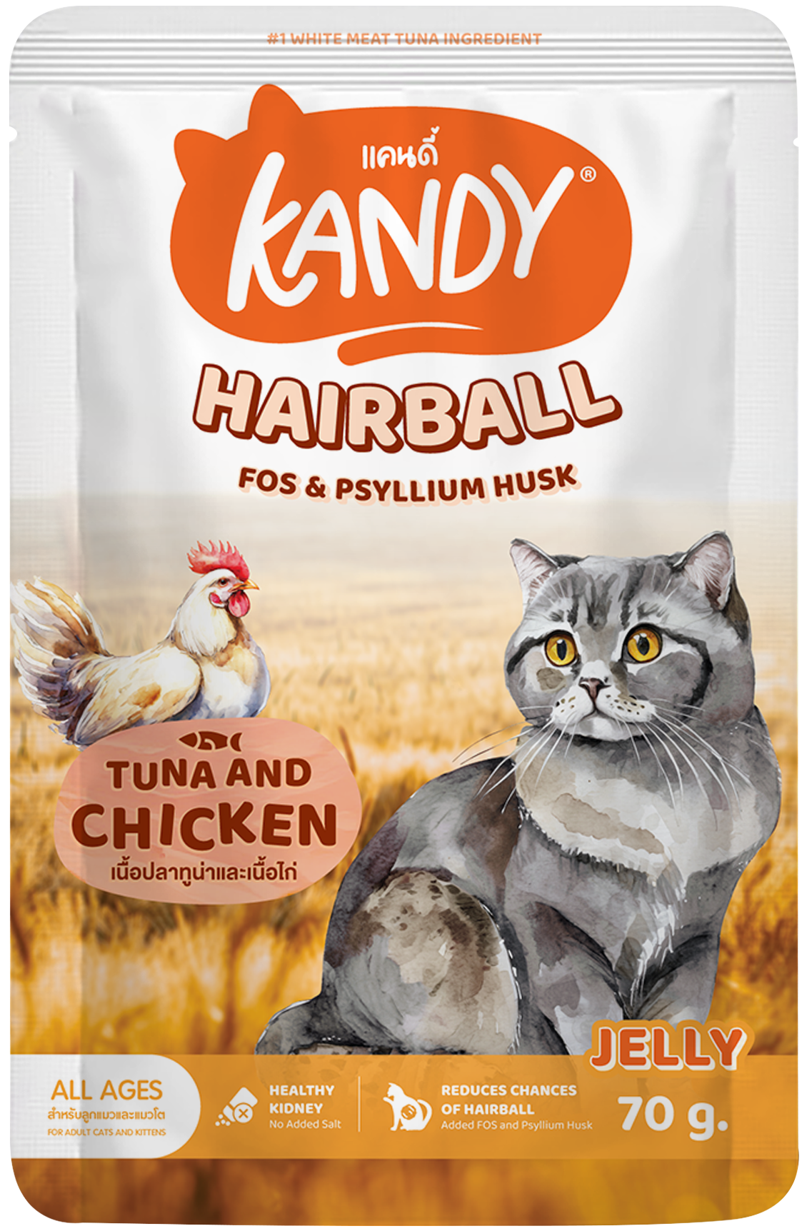 kandy hairball control cat wet food tuna chicken 70gm | hairball care wet cat food in jelly | premium cat wet food UAE free delivery
