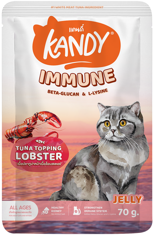 kandy immune formula cat wet food tuna lobster 70g | Premium Wet Cat Food in Jelly | Cat Wet food UAE free Delivery | Hunger Fixer