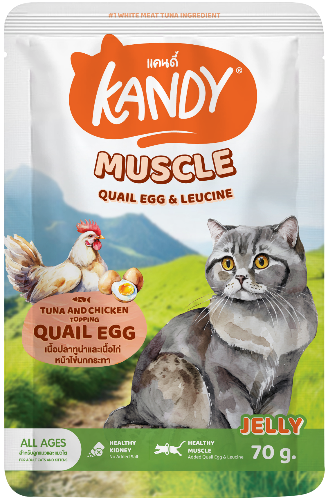 Kandy Muscle Formula Cat wet Food Tuna Chicken 70gm | High Protein Cat Wet Food In Jelly | Premium Cat Wet Food UAE Free Delivery | Hunger Fixer Cat Food UAE
