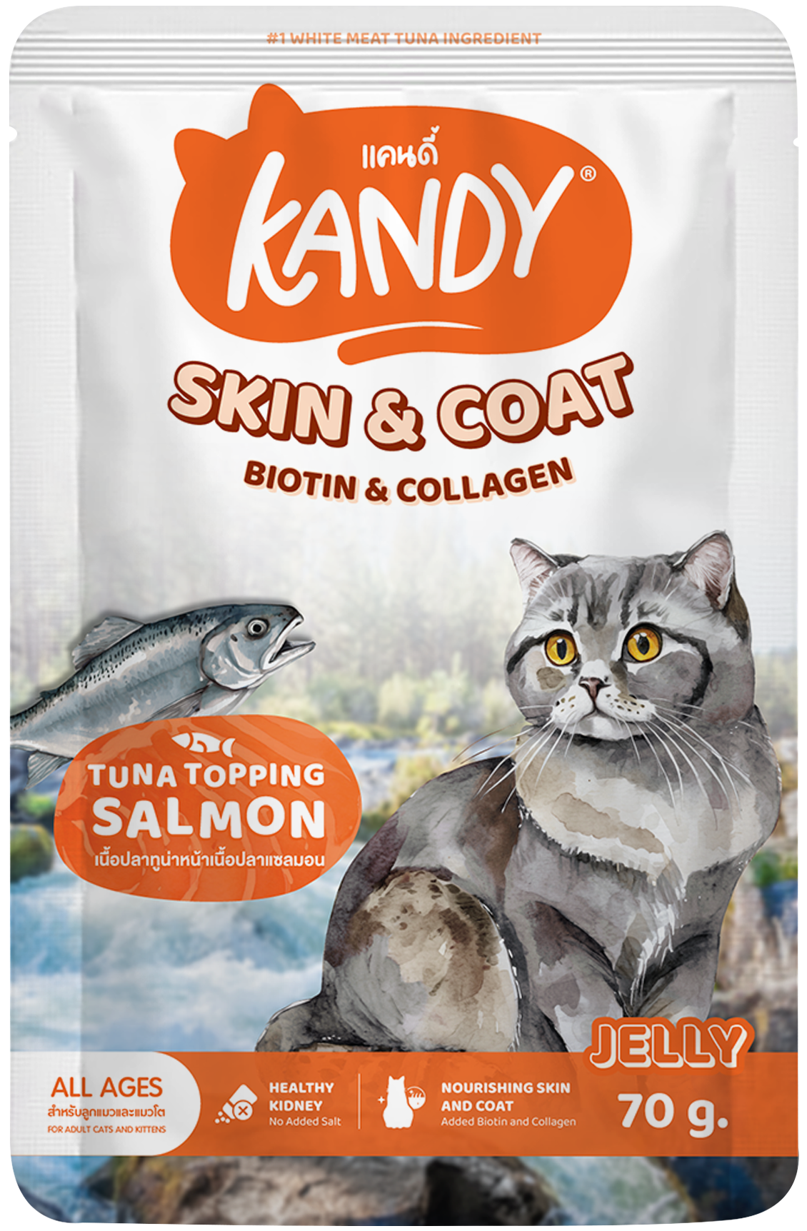 Kandy Skin And Coat Cat Wet Food Tuna Salmon 70gm | Omega Rich wet cat food in jelly UAE |Premium Cat wet Food UAE free delivery