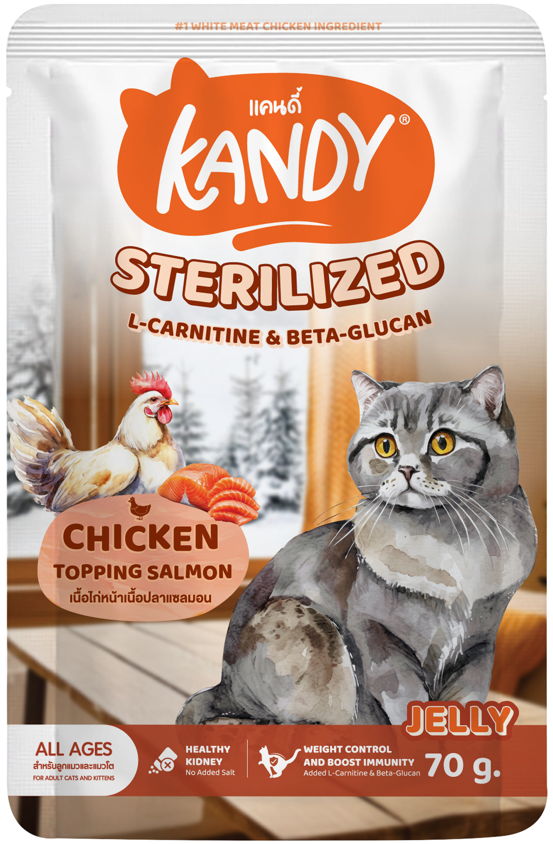 kandy sterilized cat wet food chicken salmon 70gm | sterilized cat food in jelly uae | Premium cat wet food uae free delivery