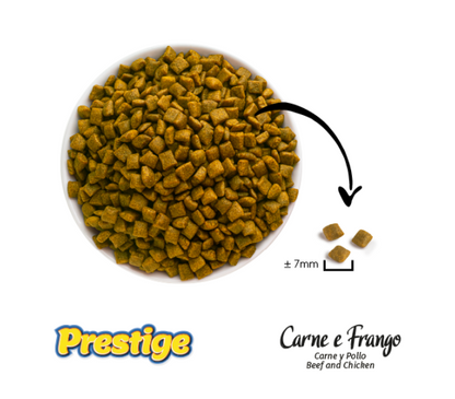 Prestige Dry Ca Food by Hunger Fixer in Dubai And All Over UAE