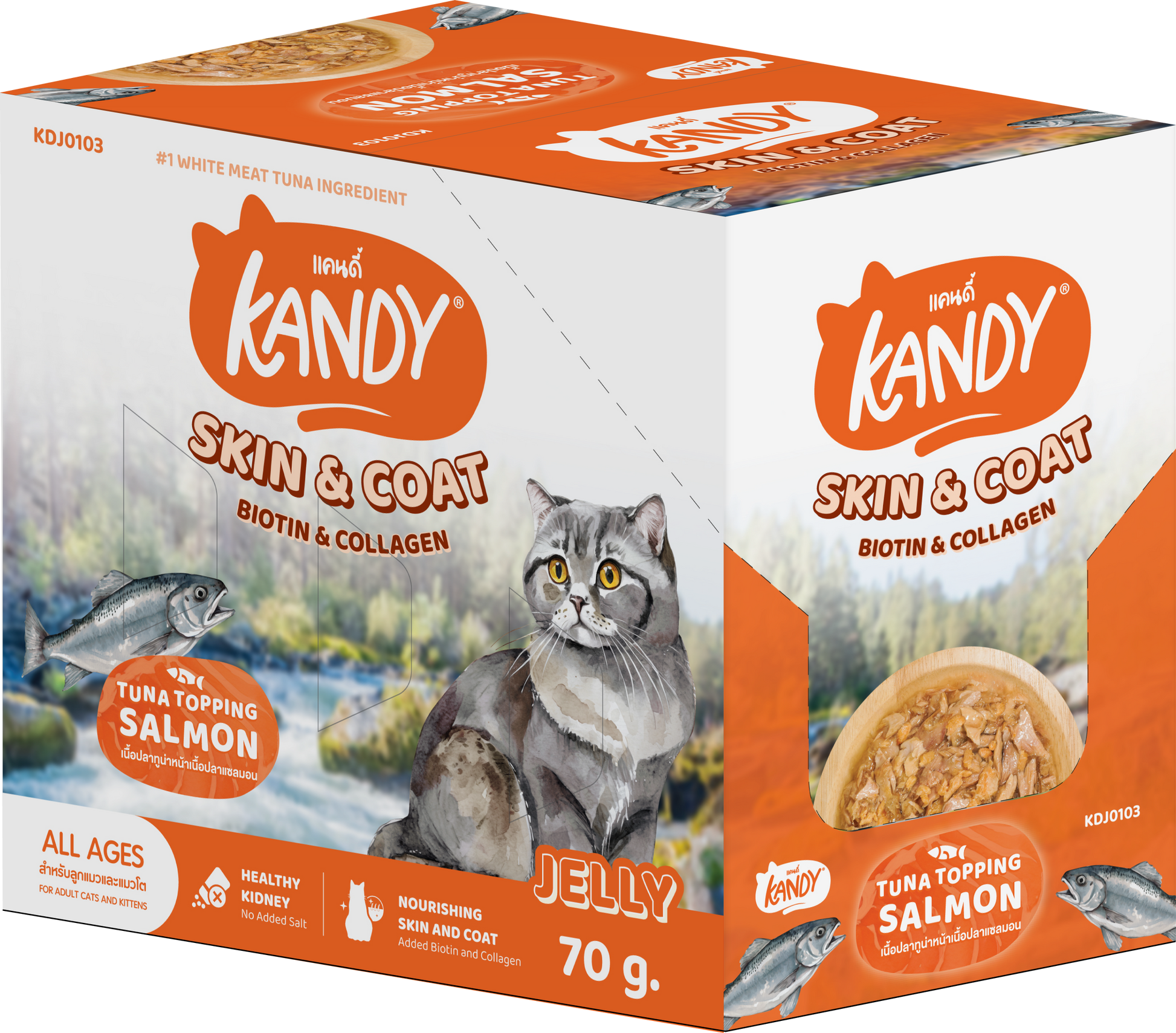 Kandy Skin And Coat Cat Wet Food Tuna Salmon 70gm | Omega Rich wet cat food in jelly UAE |Premium Cat wet Food UAE free delivery