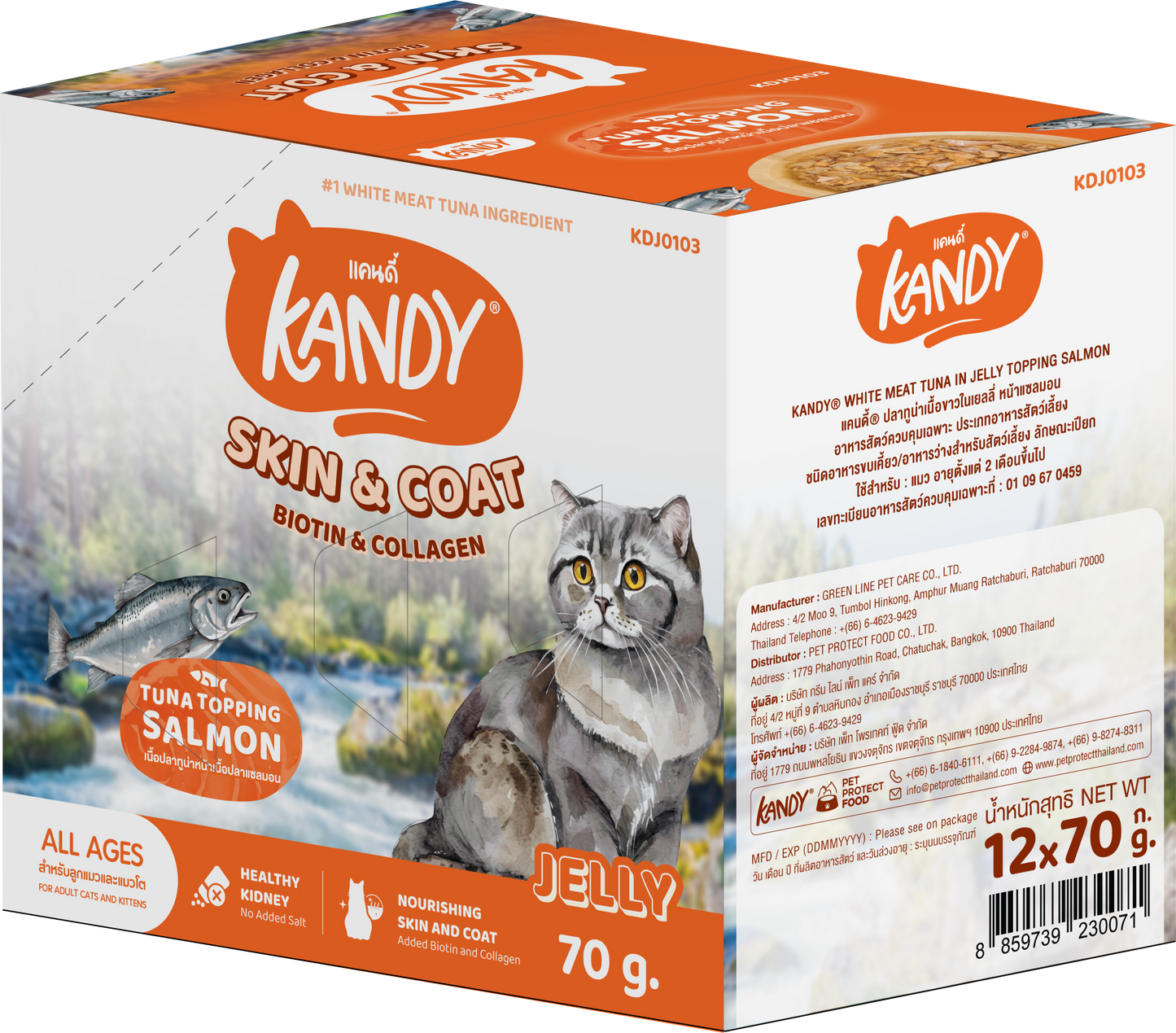 Kandy Skin And Coat Cat Wet Food Tuna Salmon 70gm | Omega Rich wet cat food in jelly UAE |Premium Cat wet Food UAE free delivery