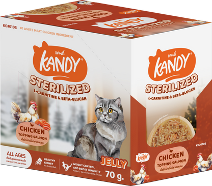 kandy sterilized cat wet food chicken salmon 70gm | sterilized cat food in jelly uae | Premium cat wet food uae free delivery