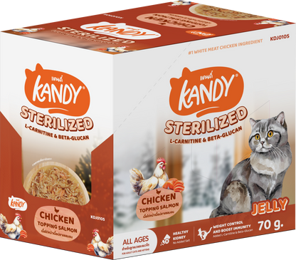 kandy sterilized cat wet food chicken salmon 70gm | sterilized cat food in jelly uae | Premium cat wet food uae free delivery