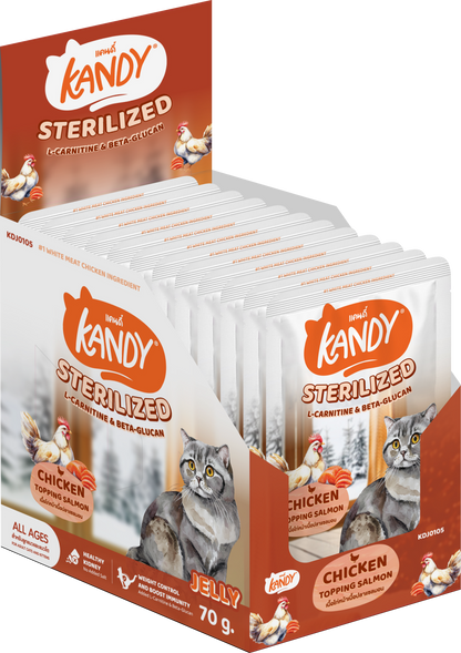 kandy sterilized cat wet food chicken salmon 70gm | sterilized cat food in jelly uae | Premium cat wet food uae free delivery