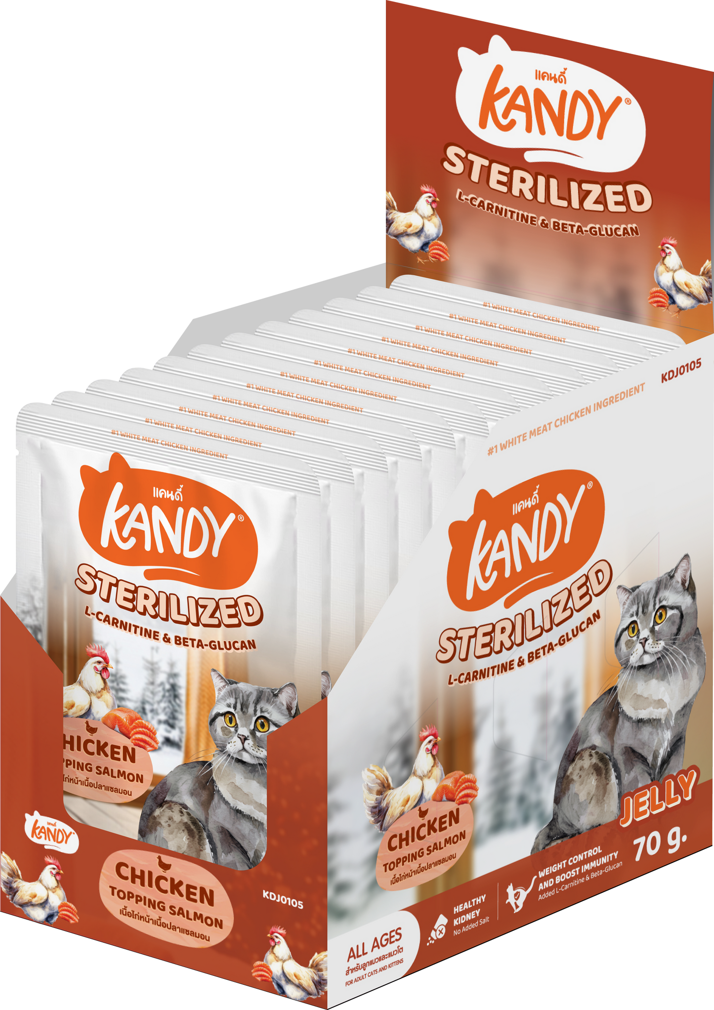 kandy sterilized cat wet food chicken salmon 70gm | sterilized cat food in jelly uae | Premium cat wet food uae free delivery