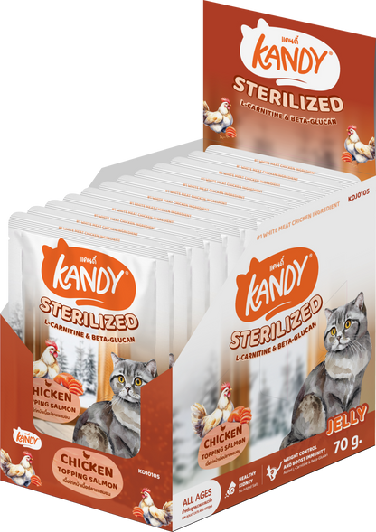 kandy sterilized cat wet food chicken salmon 70gm | sterilized cat food in jelly uae | Premium cat wet food uae free delivery
